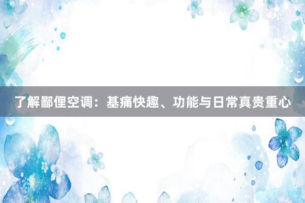 了解鄙俚空调：基痛快趣、功能与日常真贵重心