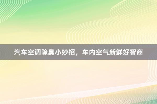 汽车空调除臭小妙招，车内空气新鲜好智商